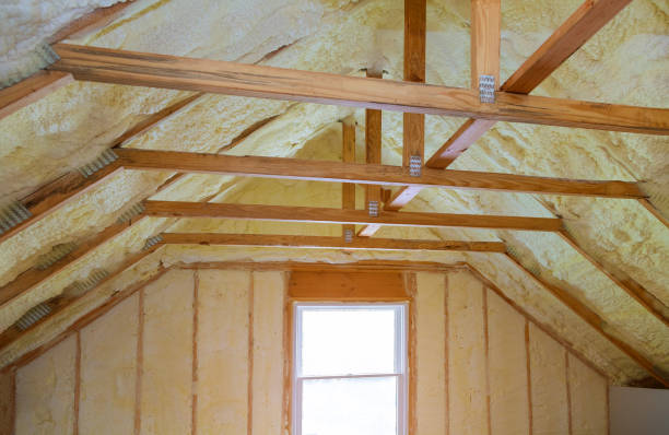 Best Home Insulation Services  in Oakleaf Plantation, FL