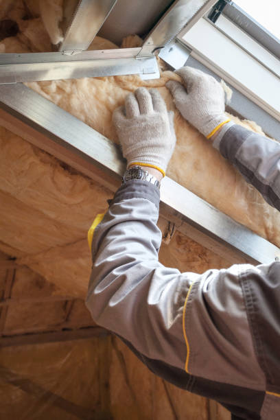 Best Wall Insulation Contractor  in Oakleaf Plantation, FL
