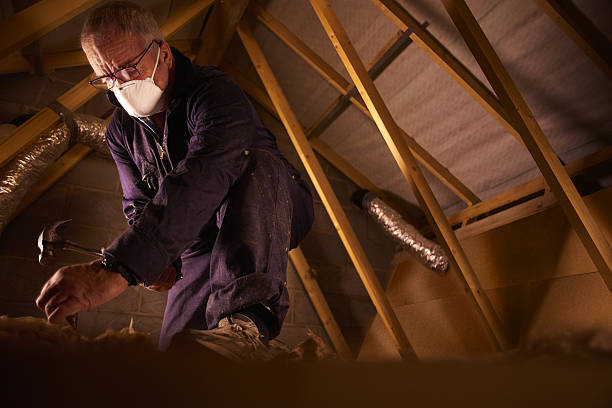 Reliable Oakleaf Plantation, FL Insulation Contractor Solutions